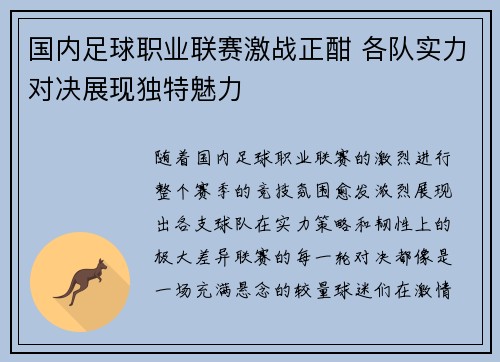 国内足球职业联赛激战正酣 各队实力对决展现独特魅力
