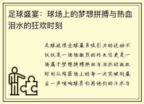 足球盛宴：球场上的梦想拼搏与热血泪水的狂欢时刻