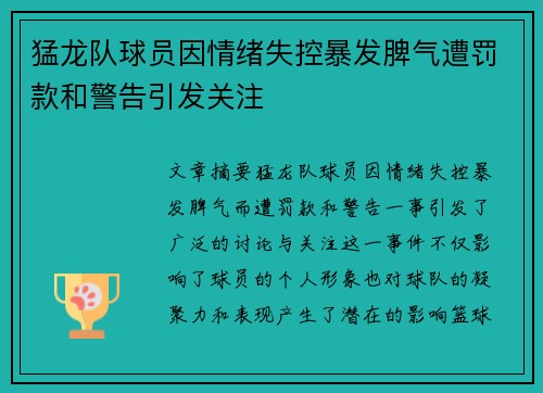 猛龙队球员因情绪失控暴发脾气遭罚款和警告引发关注