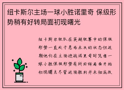 纽卡斯尔主场一球小胜诺里奇 保级形势稍有好转局面初现曙光