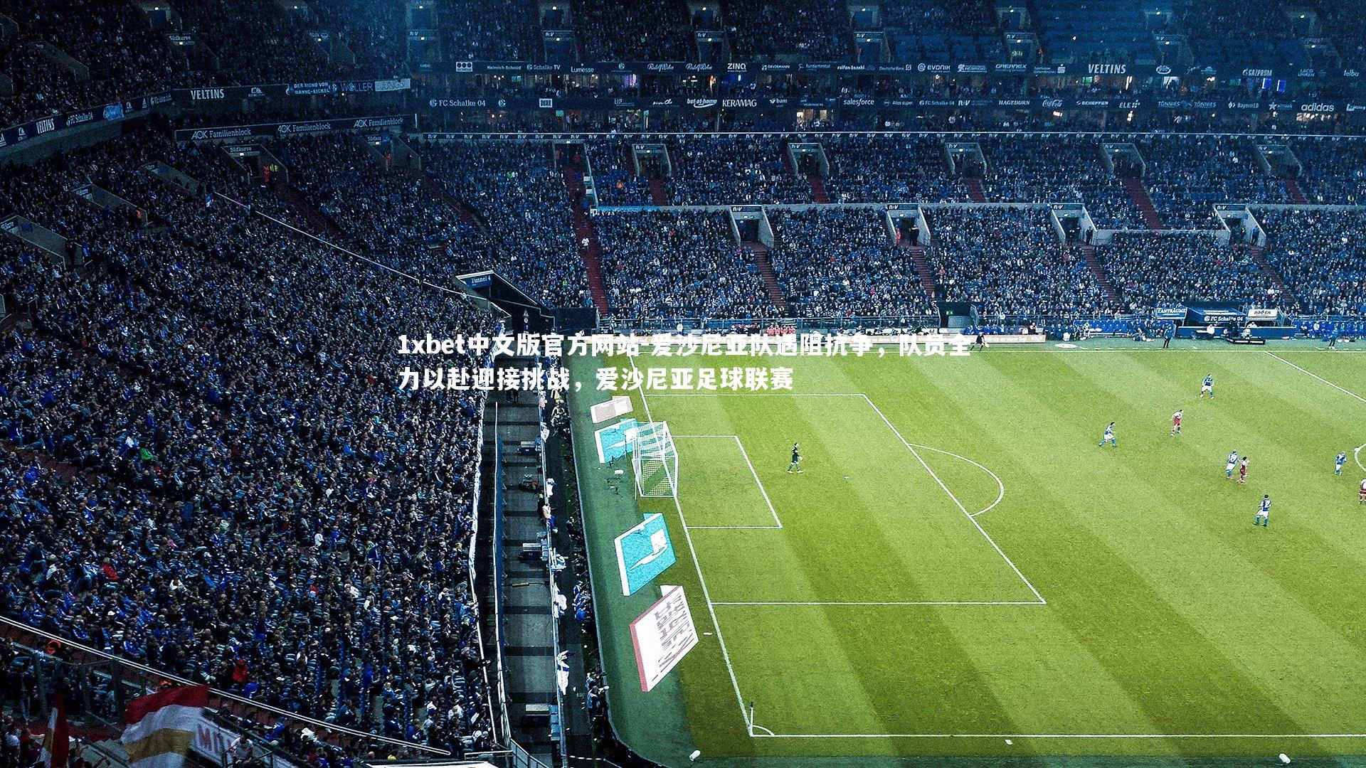 爱沙尼亚队遇阻抗争，队员全力以赴迎接挑战，爱沙尼亚足球联赛