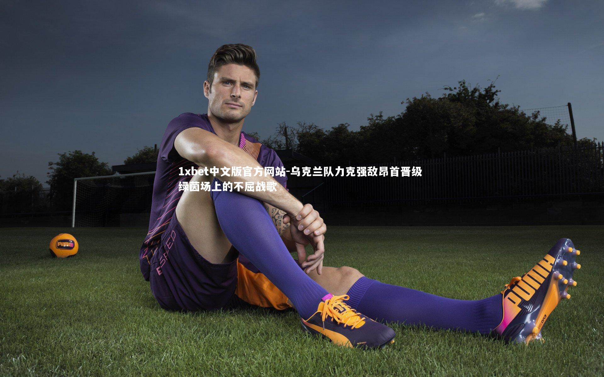 乌克兰队力克强敌昂首晋级 绿茵场上的不屈战歌